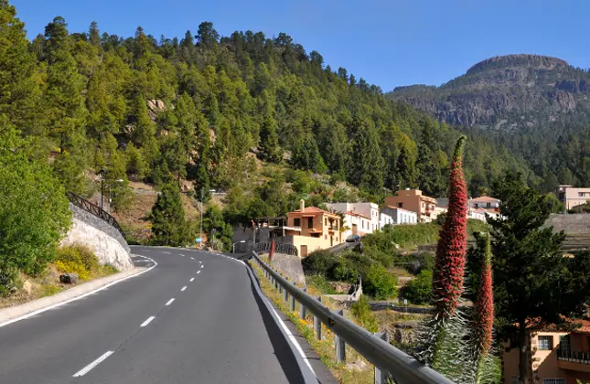 Teide & Vilaflor