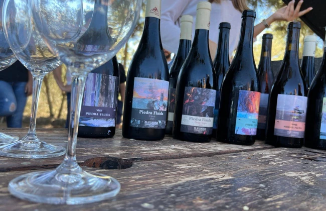 Volcanic Wine Route