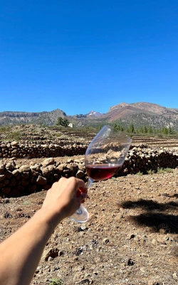 Wine Tour & Masterclass 