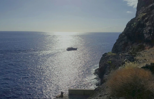 Whale Watching in La Gomera