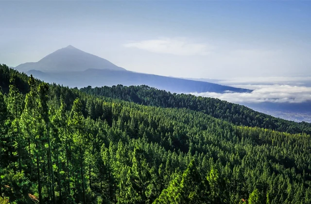 Teide by Day